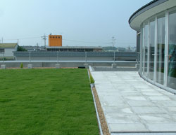 屋上緑化の例