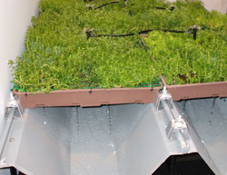 ユニット式屋上緑化ユニットの折板屋根施工例