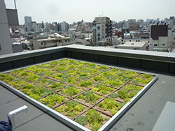 東京都・折板屋根