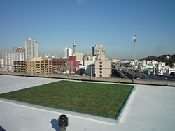 東京都・折板屋根