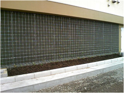 壁面緑化施工事例2