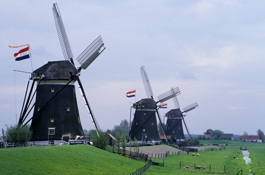 海外の緑化事情 オランダの緑化事情 大日化成株式会社