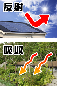 太陽光発電と屋上緑化の比較
