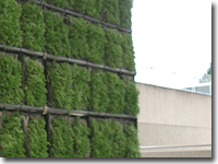 VUS500壁面緑化使用例